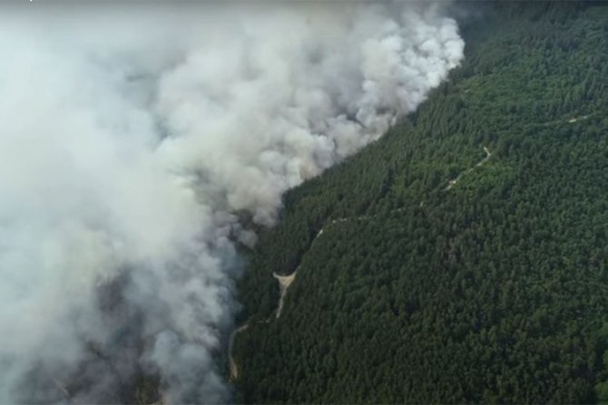 Bulgaria este și ea afectată de incendii și caniculă | DCBusiness.ro