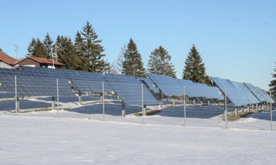 Solar panels in a snowy field with evergreen trees in the background.