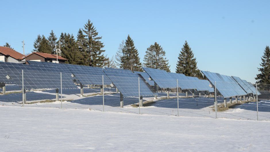 Solar panels in a snowy field with evergreen trees in the background.