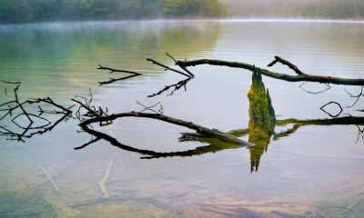 Bugetul săptămânal de energie: cum îți planifici viața după resurse, nu după ore